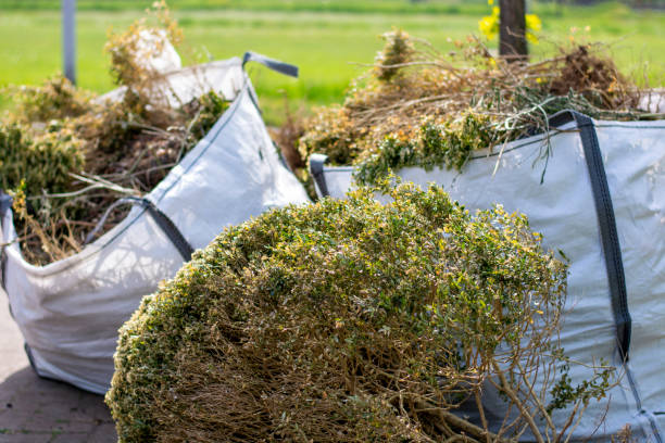 Best Hoarding Cleanup  in Boyce, LA